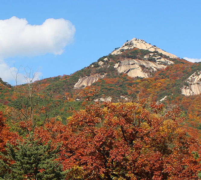 생생정보 택시맛객 남양주 여행 정보 수목원 썰매장 닭볶음탕 능내역