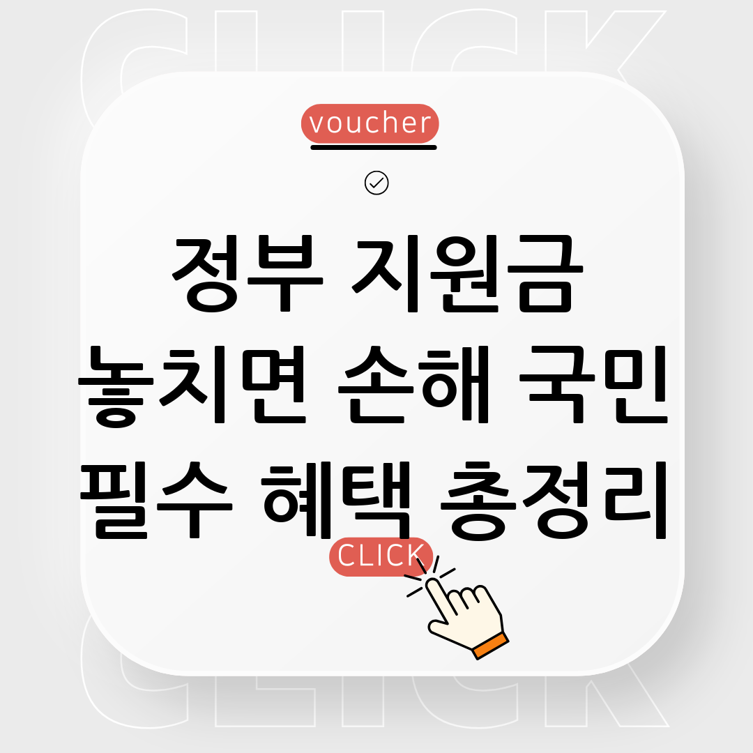 정부지원금