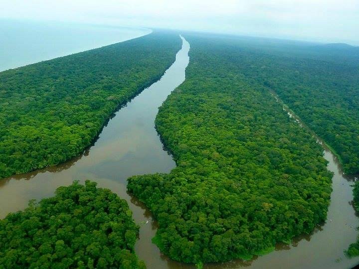 토르투게로 국립공원 (Tortuguero National Park)