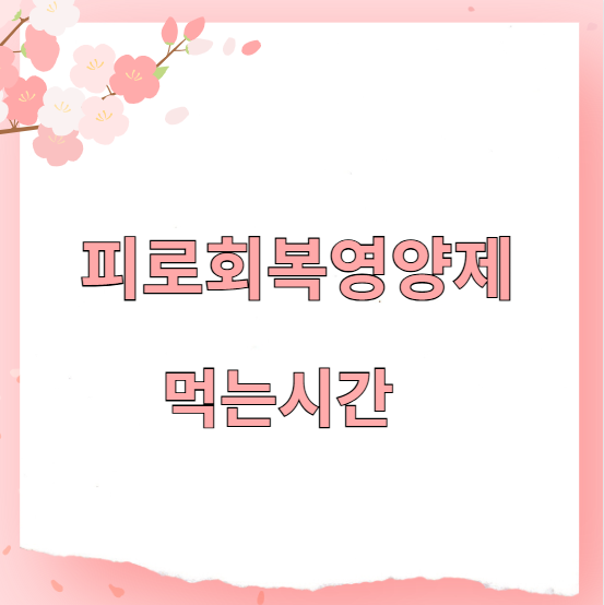 피로회복영양제 먹는시간