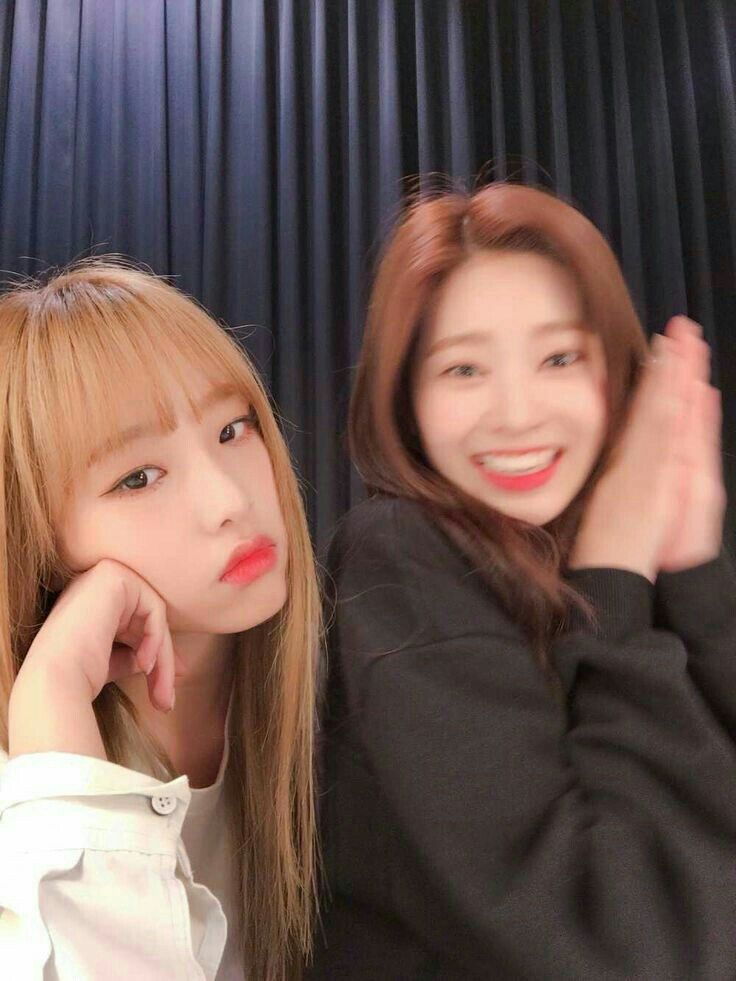 아이즈원 프로듀스48 사진 모음