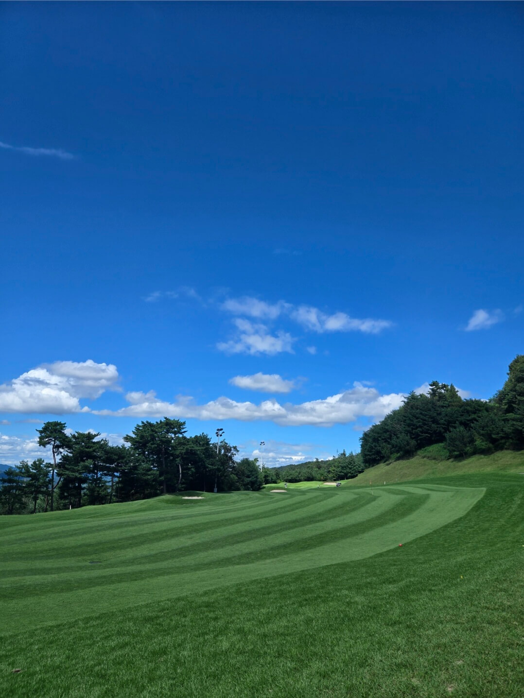 포천힐스CC 캐슬코스 페어웨이