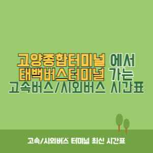 고양종합터미널에서 태백버스터미널 가는 시외버스 시간표 최신정보