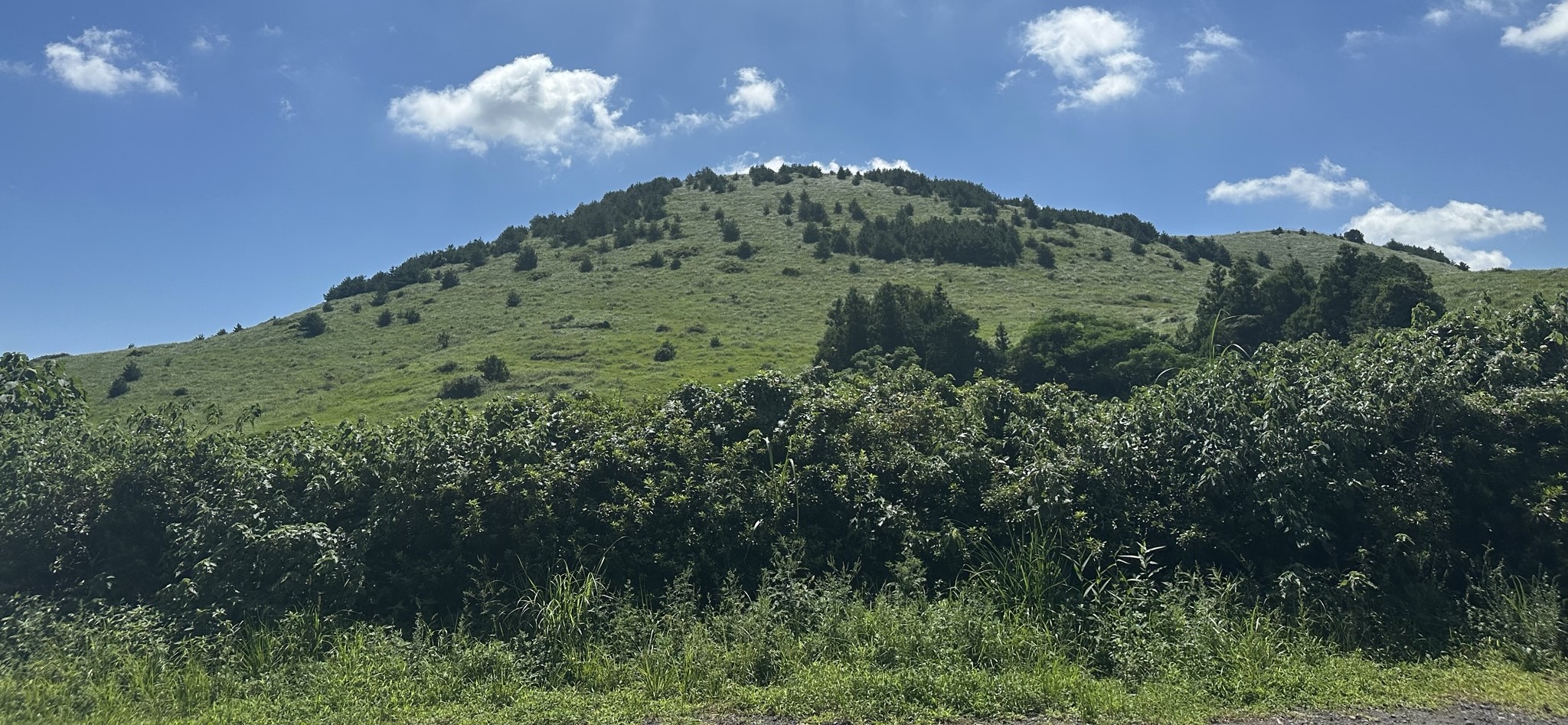 용눈이오름 경관