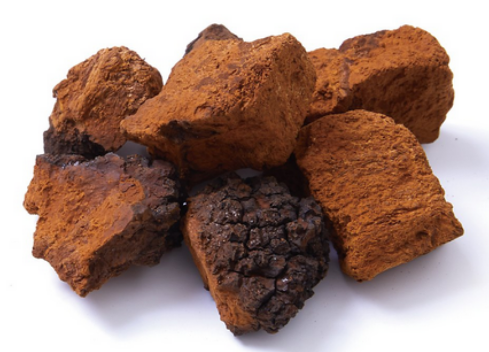 차가버섯-덩어리