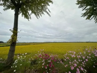 김제 가볼만한곳 베스트10 현지인 추천 필수코스_8