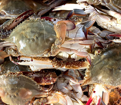 부안 가을 꽃게 택배 주문 방법