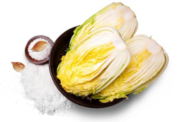 6시내고향-해남-배추