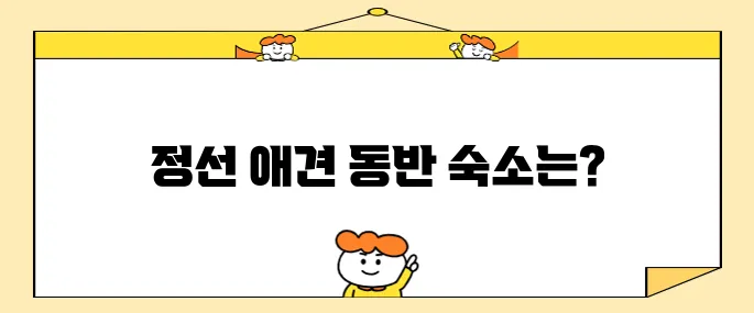 강원도 정선 여행 필수 아이템 메이힐스 가성비 높은 애견동반 호텔 숙소 추천입니다!