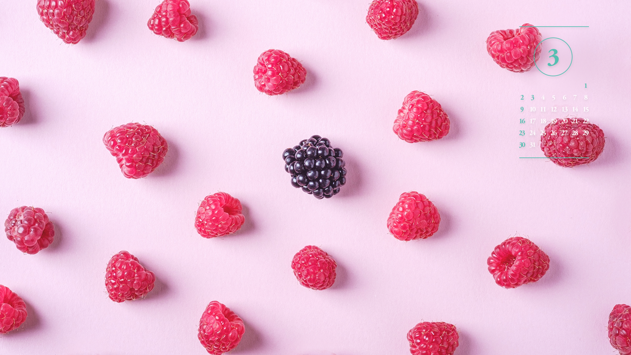 08 산딸기 A - 2025년3월 노트북배경화면