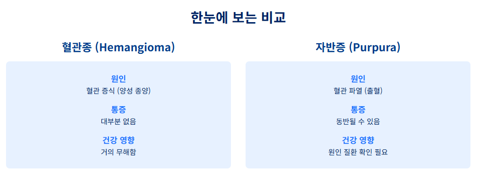 피부에 생긴 붉은 반점, 노화의 흔적? 위험 신호? 혈관종 vs 자반증, 헷갈리면 안 되는 이유