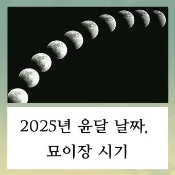 윤달은 몇년마다 오는지 윤년과 차이점 완전 정리_13