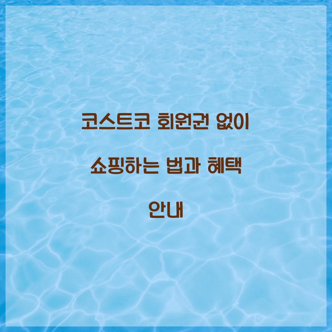 코스트코 회원권 없이