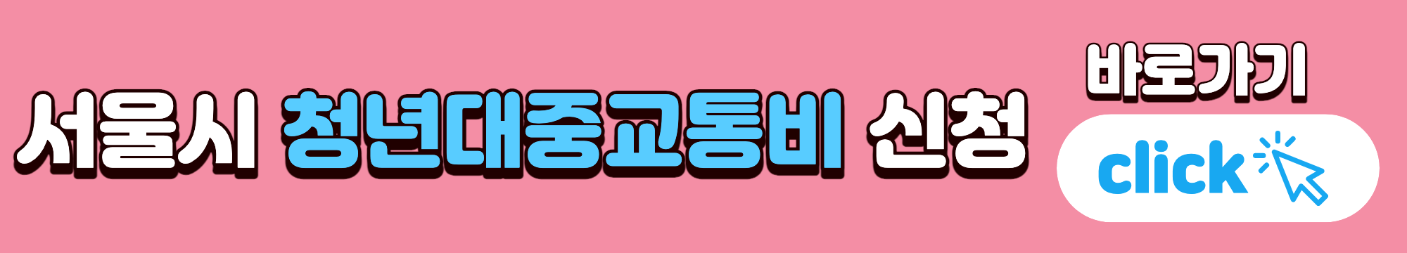 서울시 청년 대중교통비