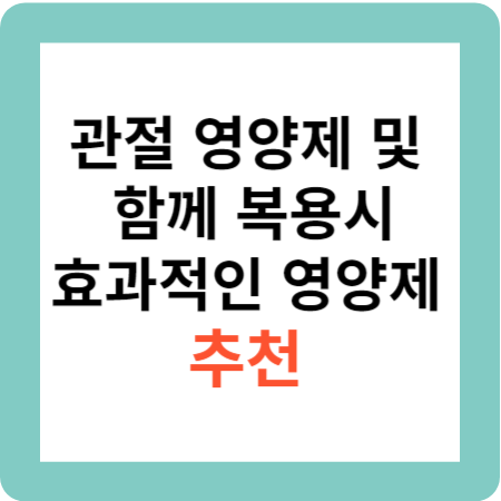 관절 영양제 및 함께 복용시 효과적인 영양제