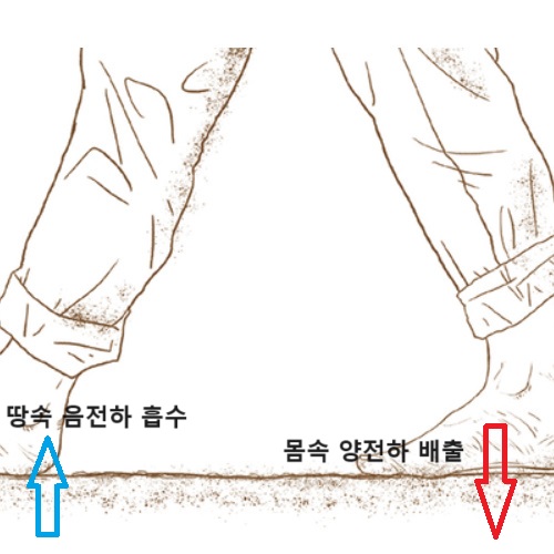 알트태그-어싱 효과 설명 이미지