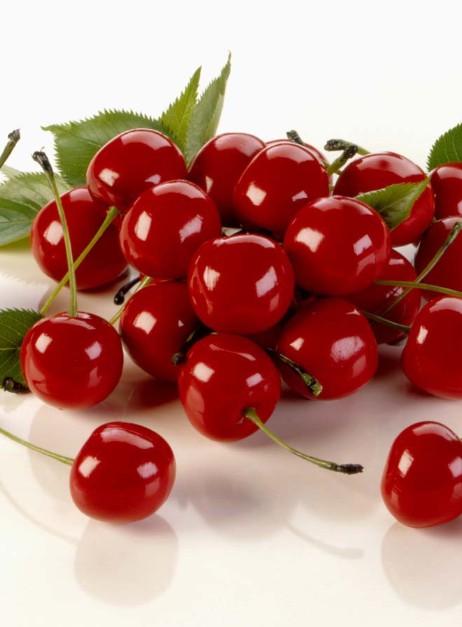 잠이 안 올 때-타트체리