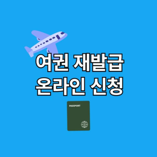 여권 온라인 재발급