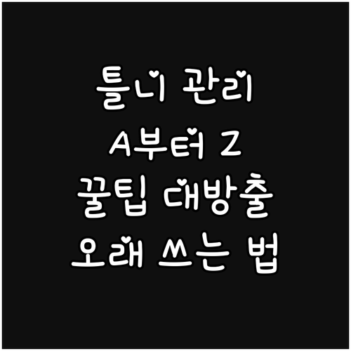 틀니 관리 A to Z: 세척, 보관