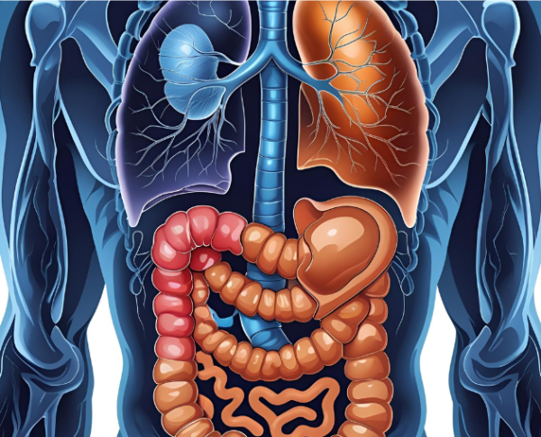 장에 가스가 차는 이유와 해결책(장가스, 복부팽만, 유당불내증)의 이미지