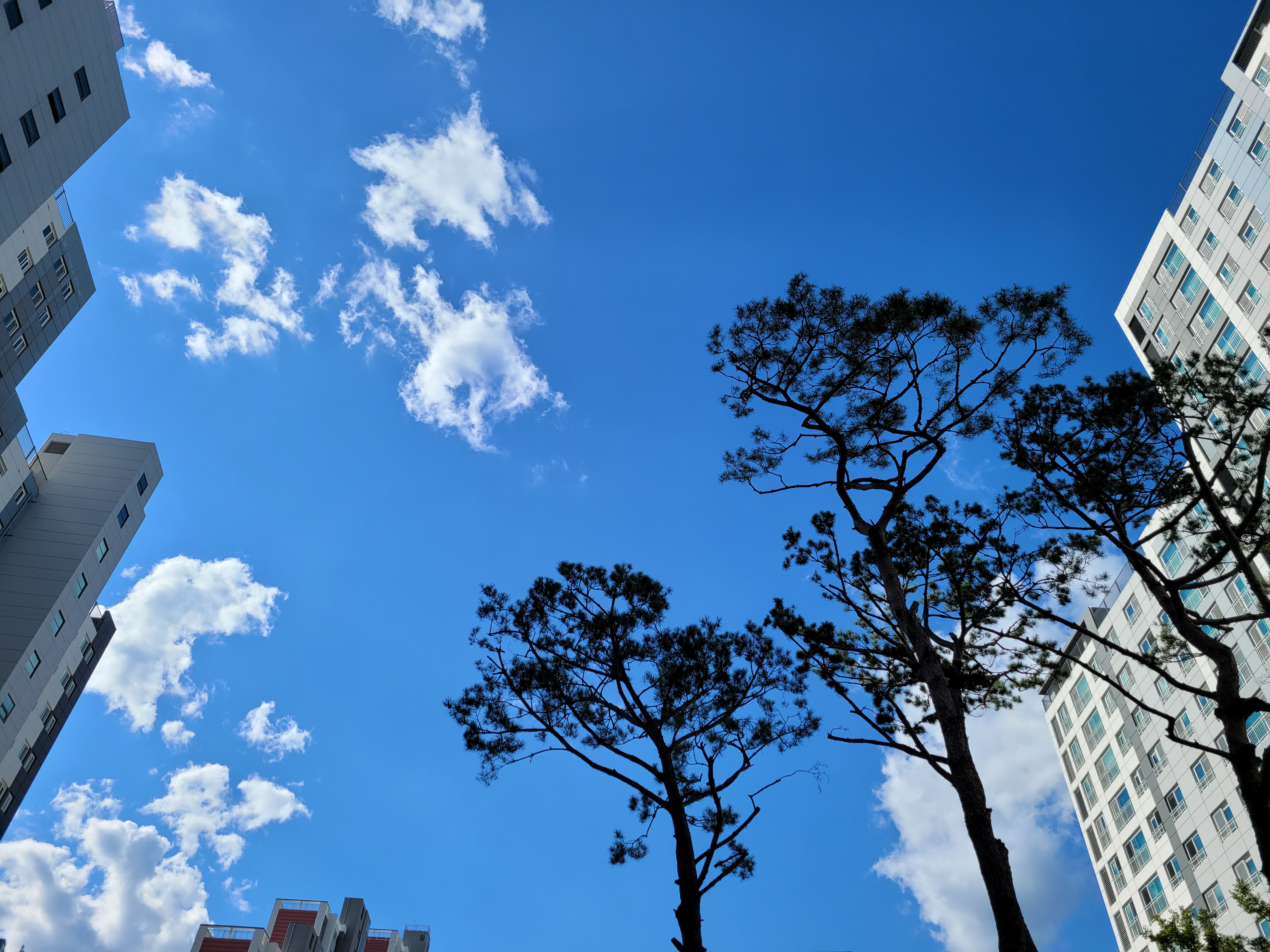 임야 투자, 싸다고 접근하면 위험한 이유와 투자 판단 기준