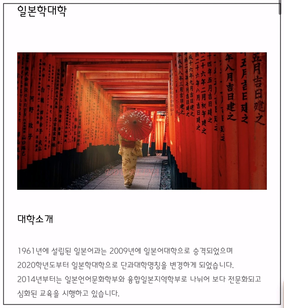 한국외대-일본학대학-소개