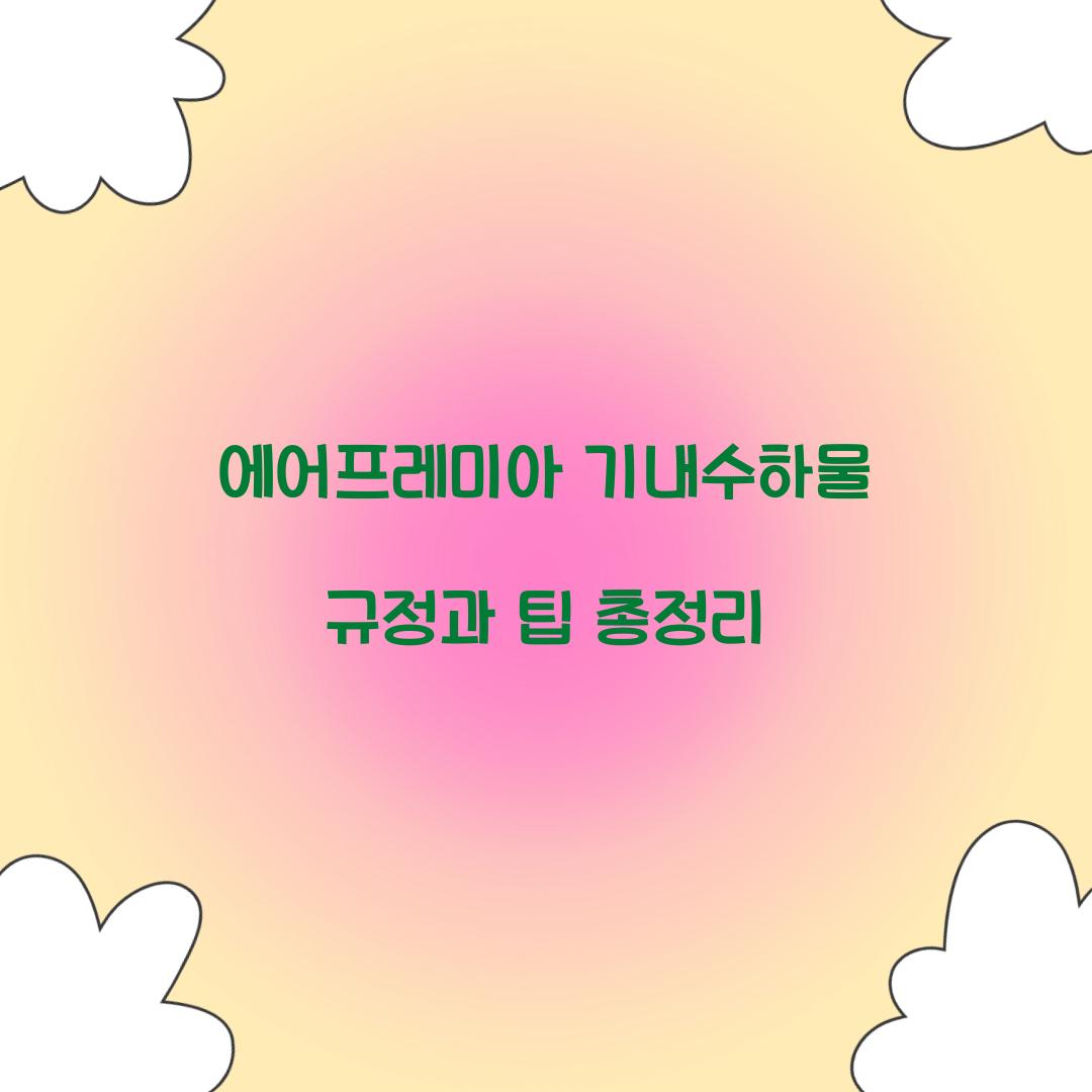 에어프레미아 기내수하물