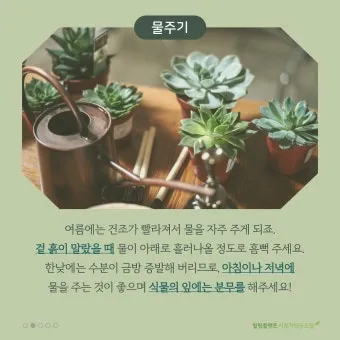 실내화분 환기 요령 미세먼지 많은날 창문관리 공기청정기 병행 팁_13