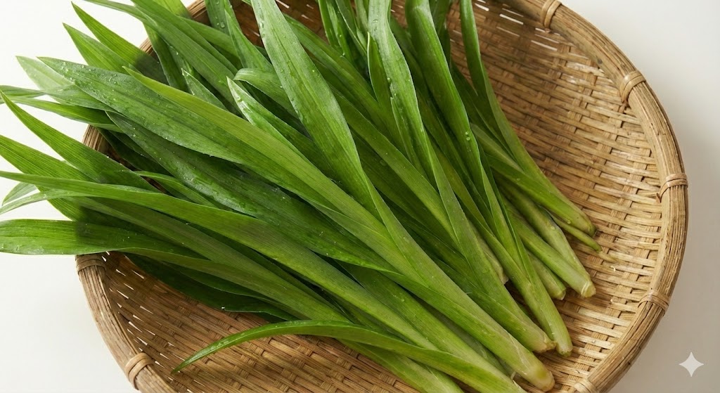 비타민과 아미노산이 풍부해 기력 회복을 돕고 염증 완화에 효과적인 산채나물 원추리