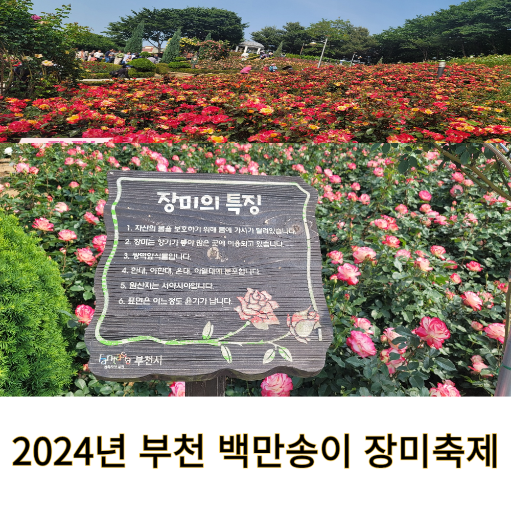부천장미축제