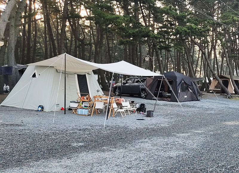 충청남도 태안군 몽산포 자동차야영장
