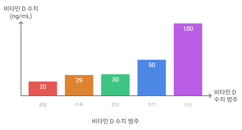 비타민 D 정상 수치