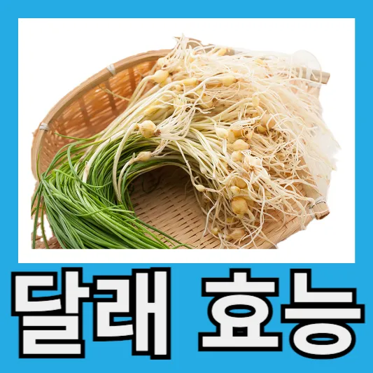 달래 효능