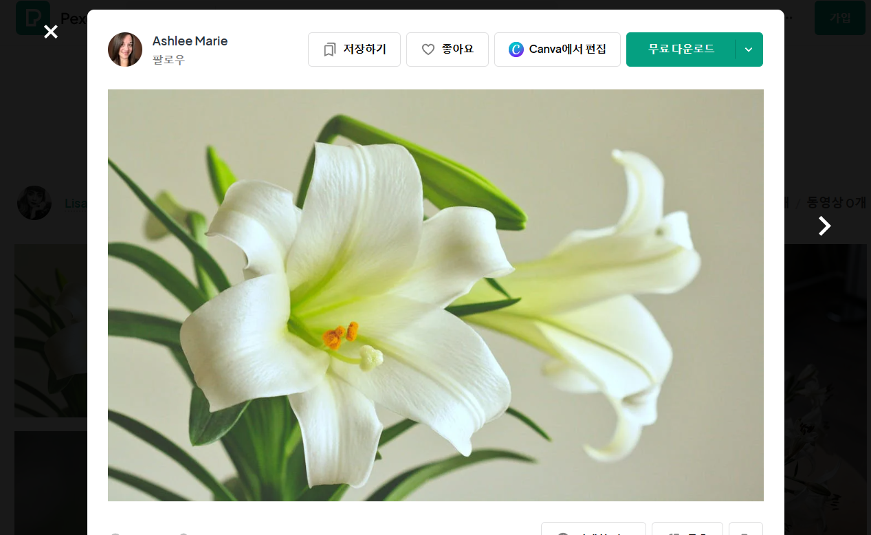 무료 이미지 사이트