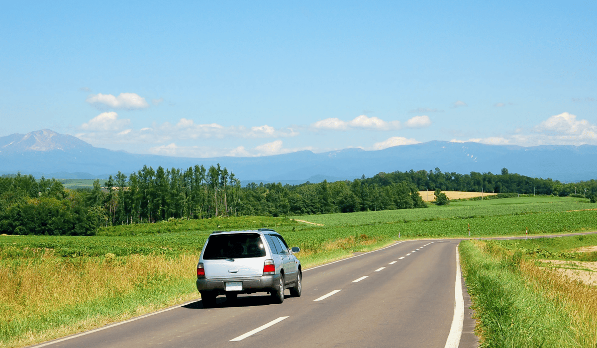 제주_렌트카_협동조합_9
