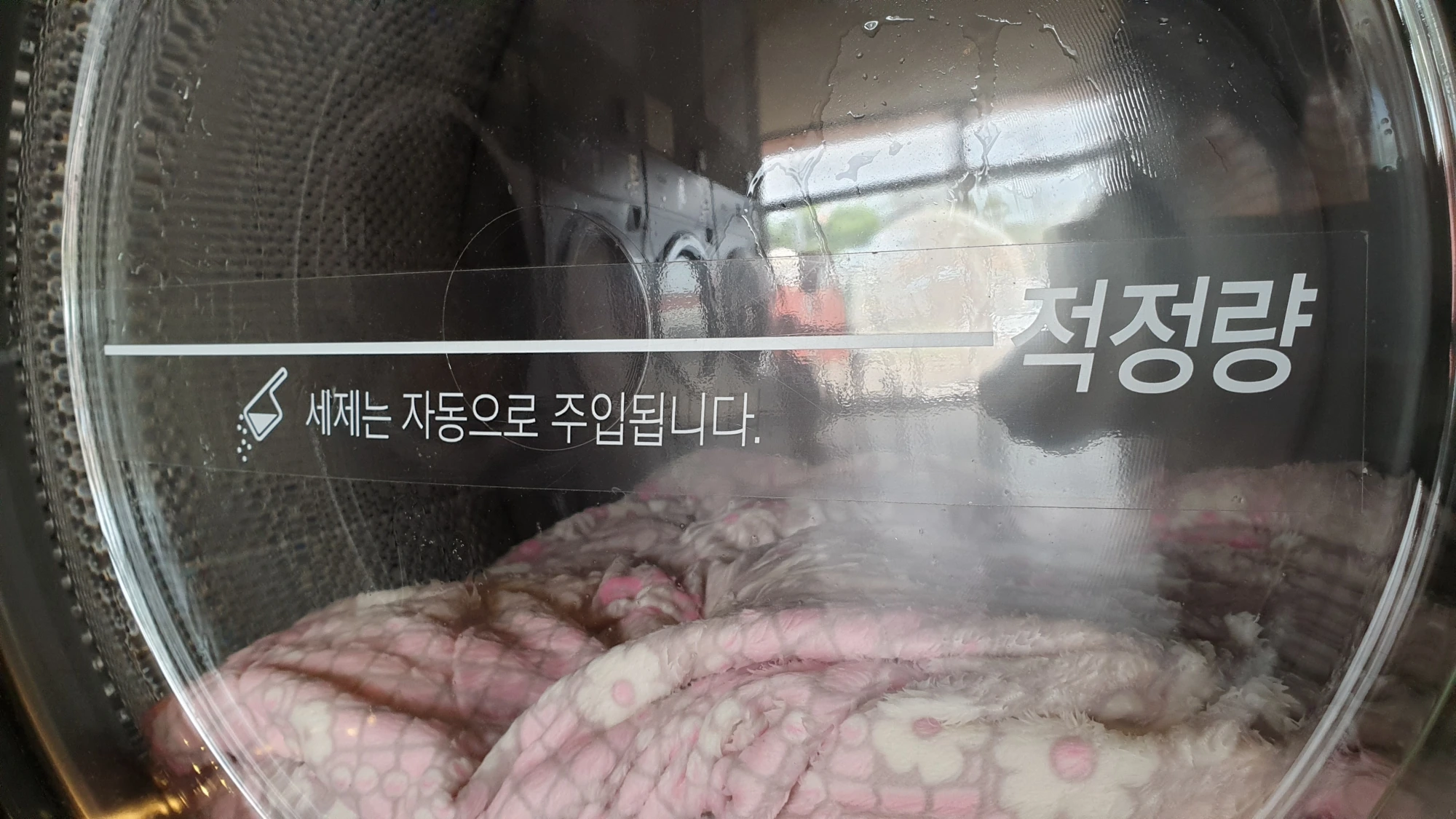빨래 양