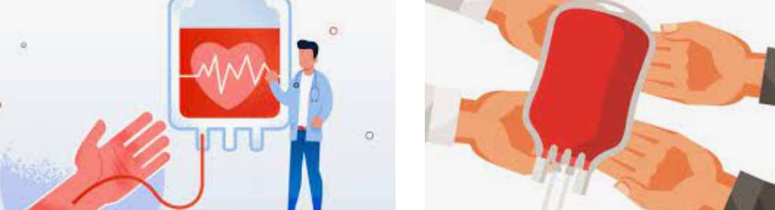 헌혈 하는 장면 및 수혈을 받기 위한 모습