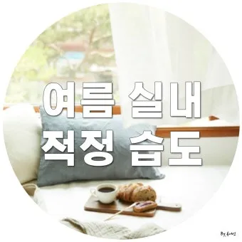 습도 높은날 제습 모드 빨래 건조 곰팡이 차단법_15