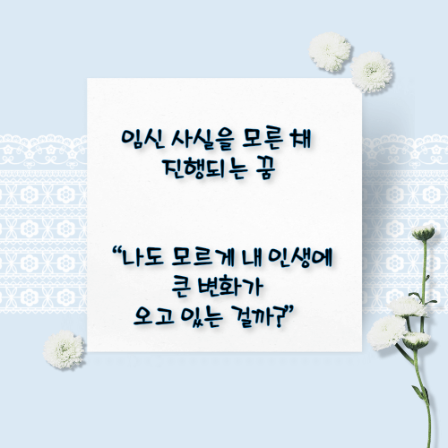 임신하는 꿈해몽