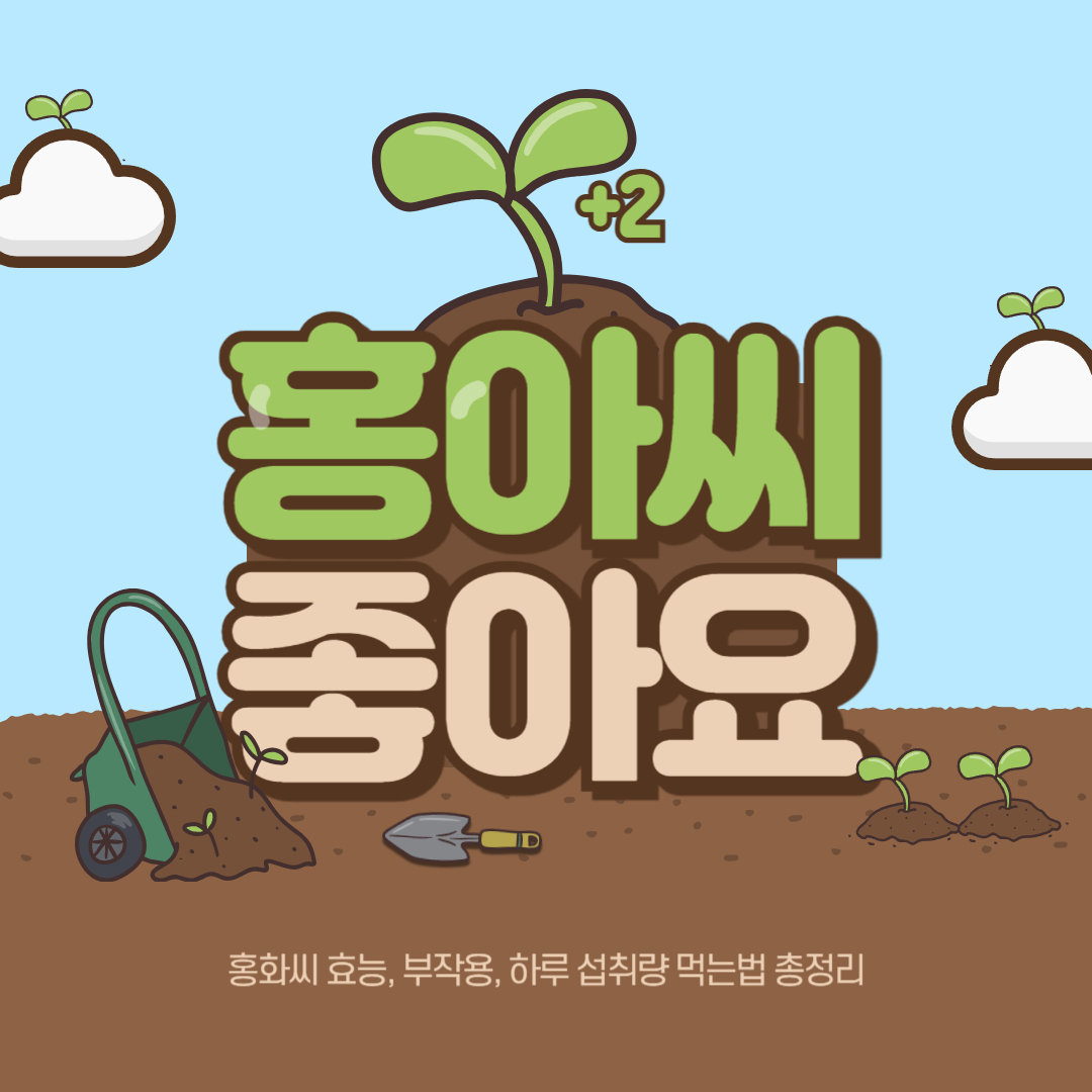 홍화씨 효능 부작용 하루 섭취량 먹는법 총정리