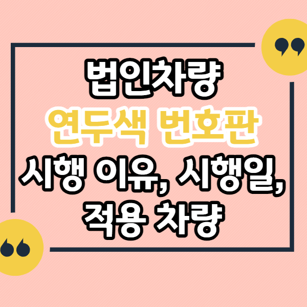 법인차 -전용-연두색-번호판-시행일-목적