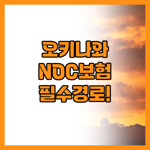 오키나와 렌트카 NOC 보험과 지역별..