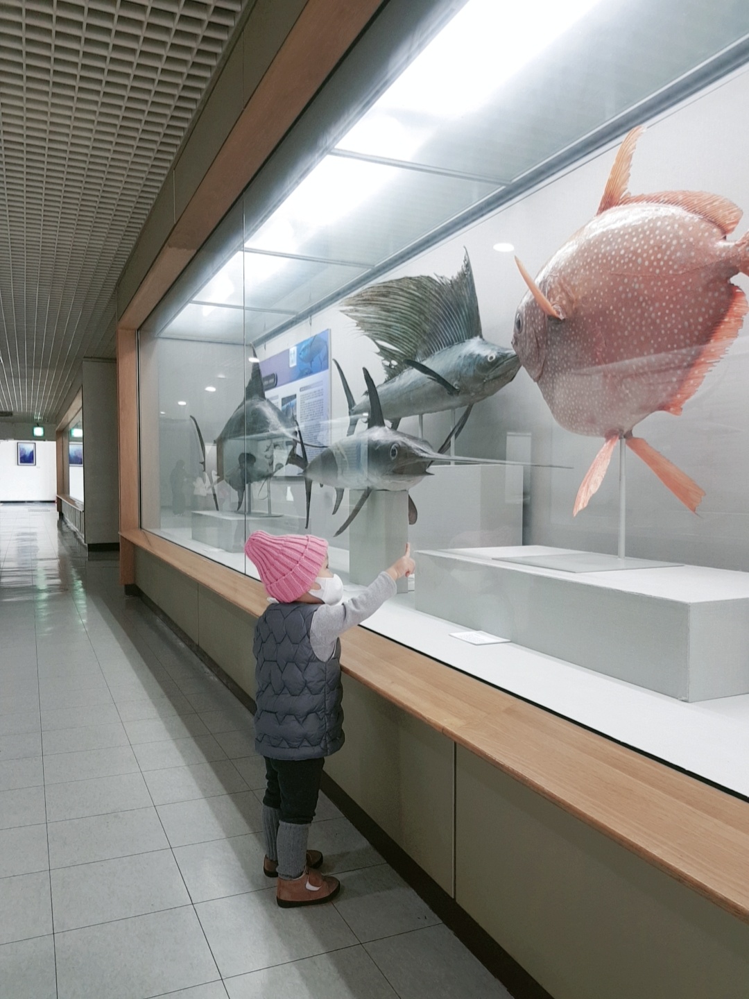 부산자연사박물관 사진