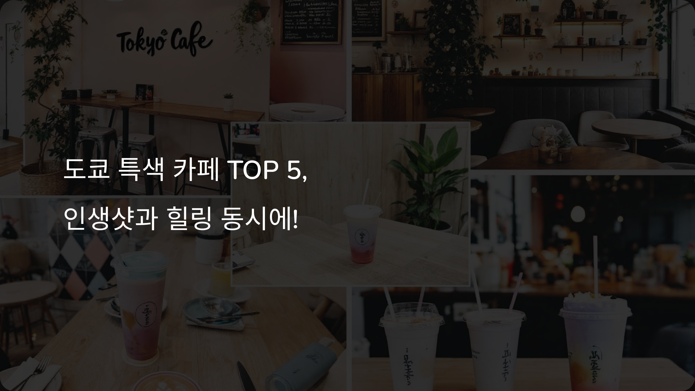 도쿄 특색 카페 TOP 5, 인생샷과 힐링 동시에! 🌸