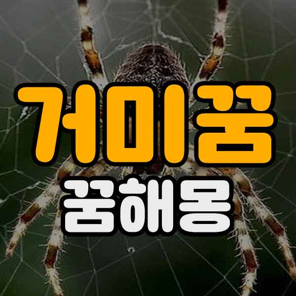 거미꿈 꿈해몽