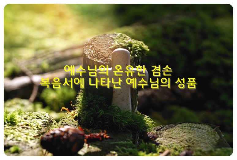 예수님의 온유한 겸손, 복음서에 나타난 예수님의 성품