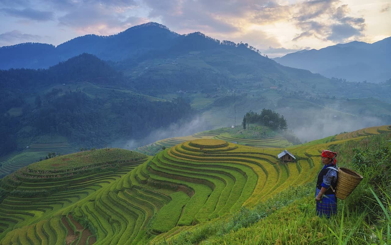 빅데이터와 자동화: 소규모 농업에서의 데이터 기반 의사결정