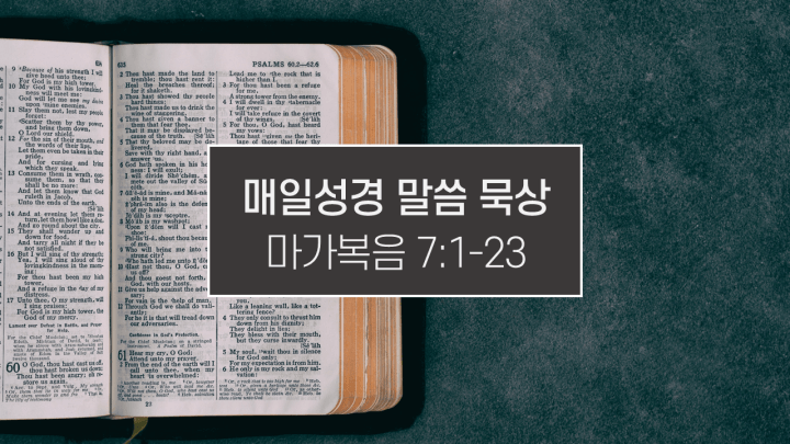 썸네일-성경책
