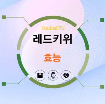 레드키위 효능 탐구