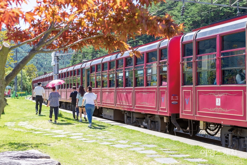 백두대간 협곡열차 V-Train